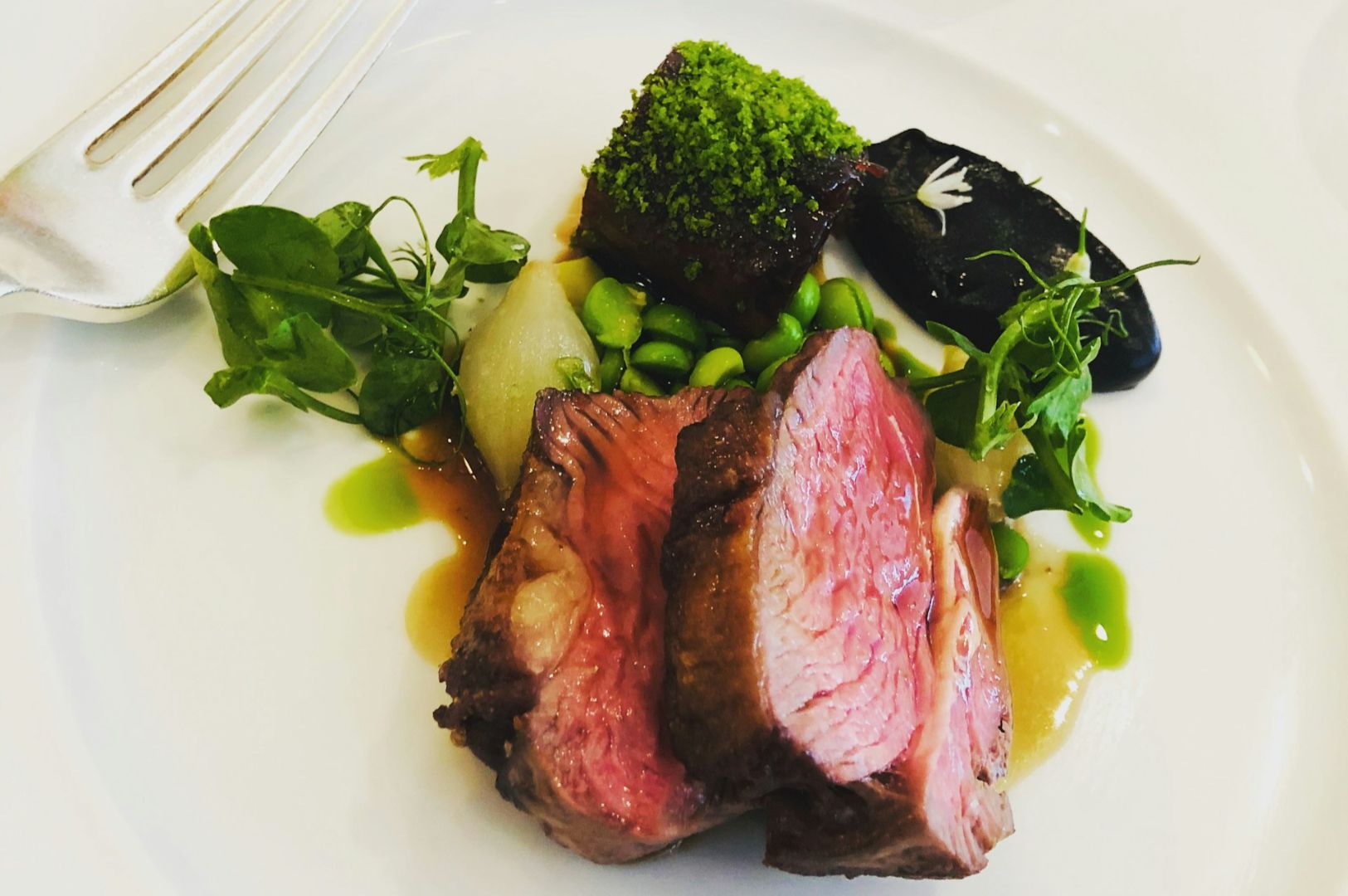 A gourmet dish featuring medium-rare sliced beef with vibrant green sprouts, edamame, and a sauce, garnished elegantly with herbs on a white plate.