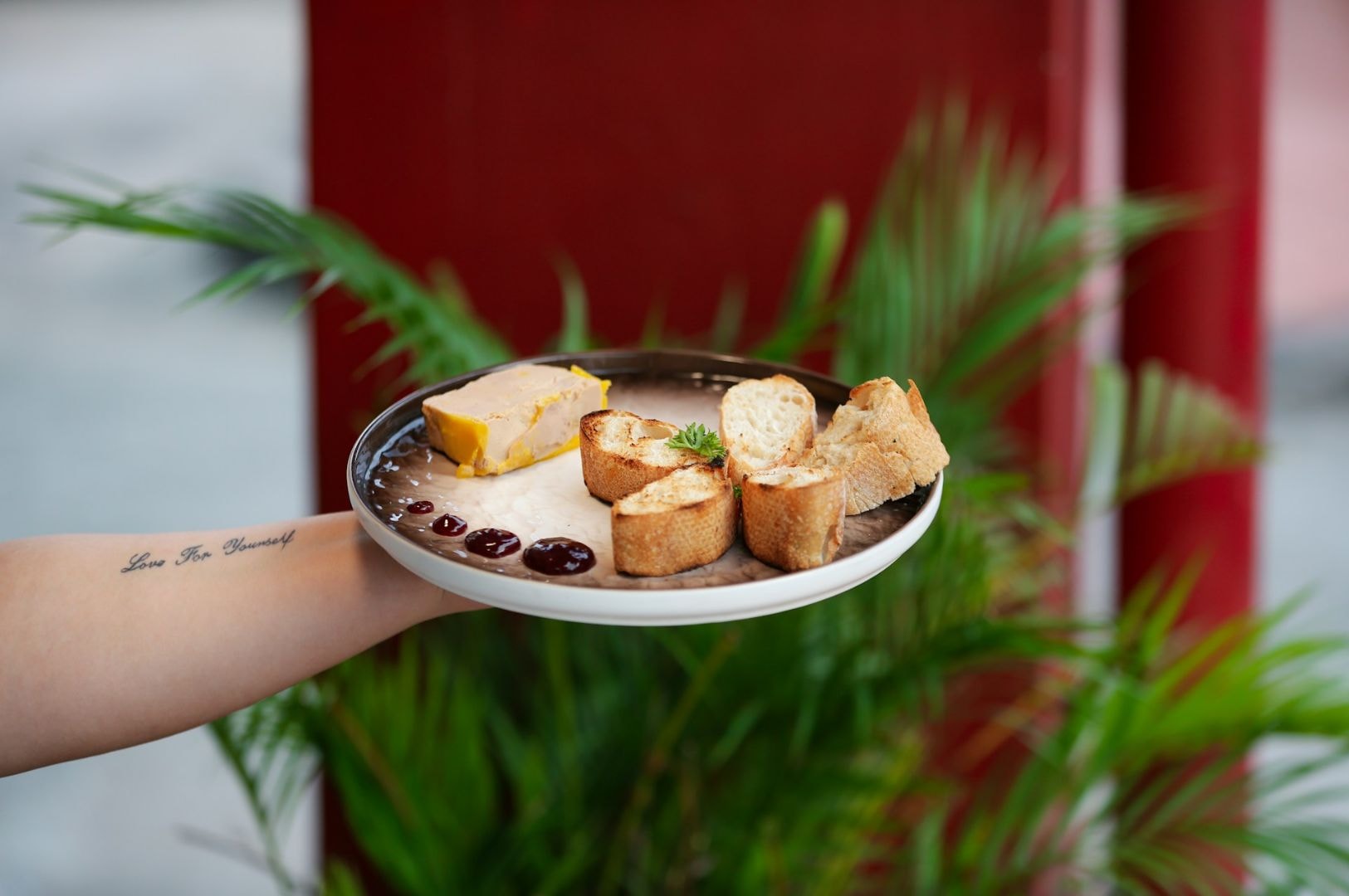 A hand with a tattoo holds a plate with pate, sliced baguette, and sauce drizzles. Background features green plants and a red wall, creating a fresh and elegant atmosphere.